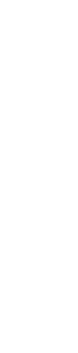 そっと寄り添う貴女に寄り添う焼酎に